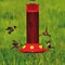 Perky-Pet Perky-Pet Hummingbird 30 oz Plastic Nectar Feeder 6 ports 409 - alternate 4